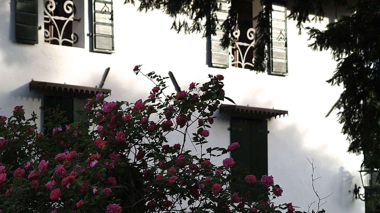 Photo of Outdoor in Azzanello