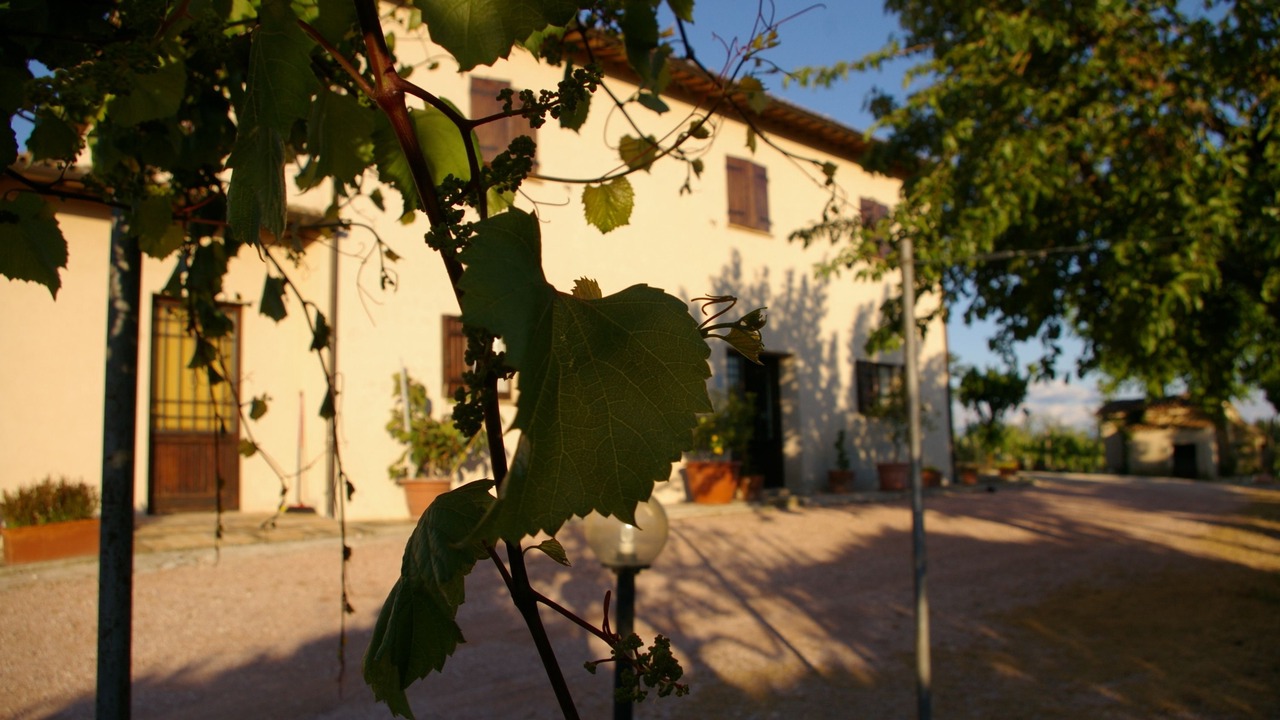 Photo of Bedroom in Montefalco