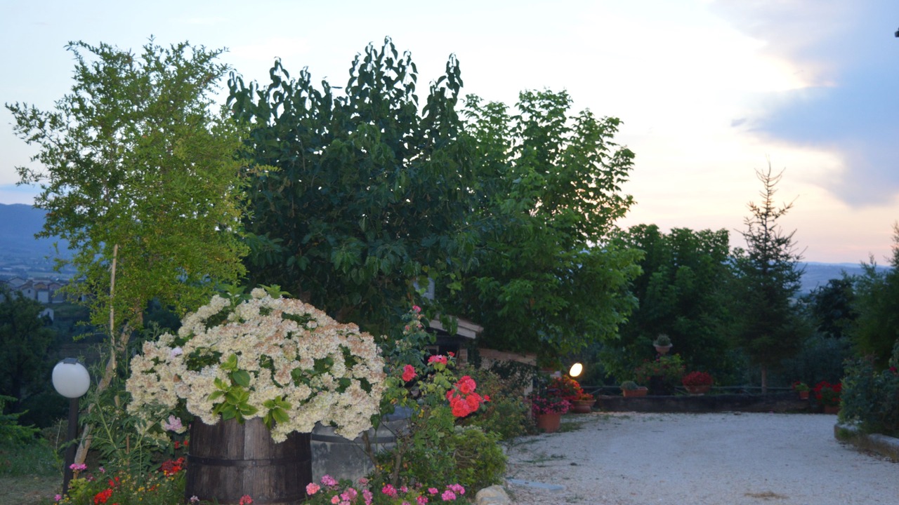 Photo of Outdoor in Montefalco