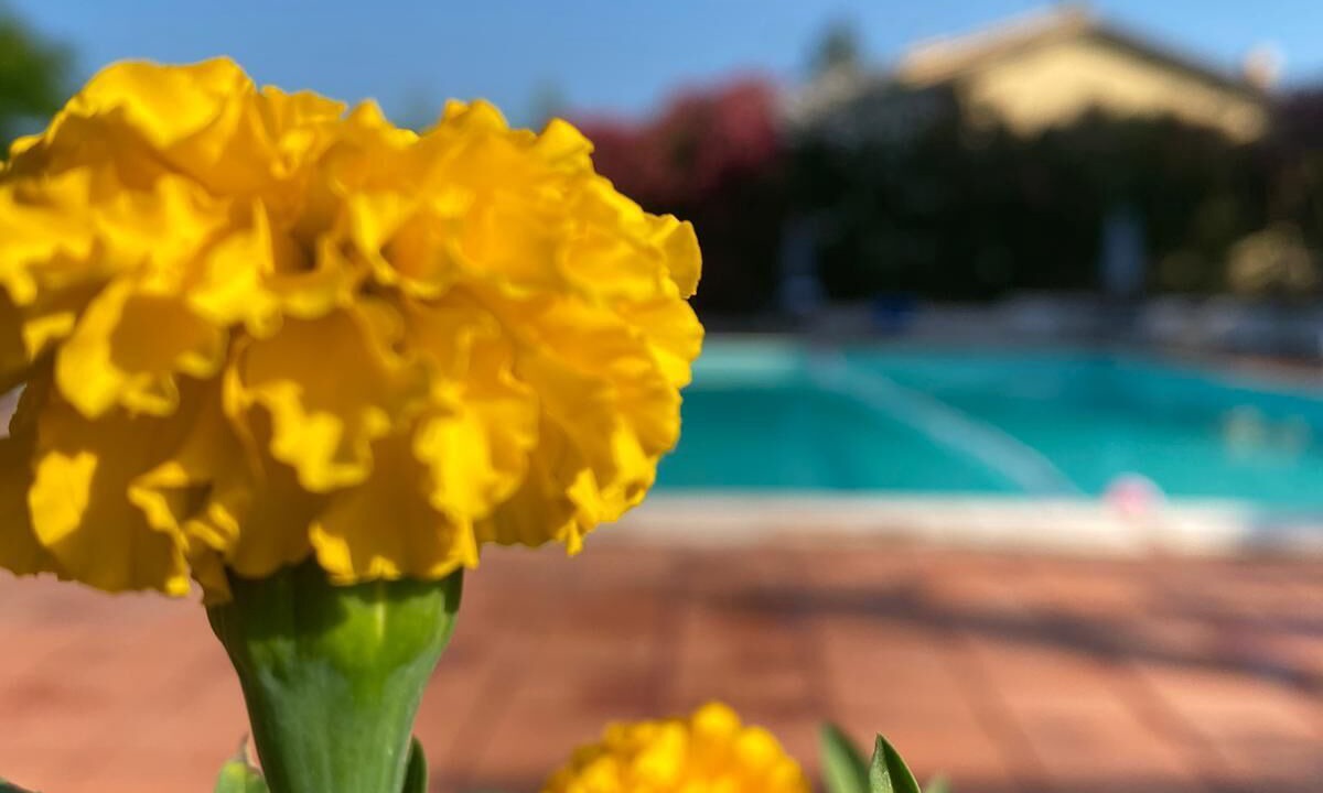 Photo of Outdoor in Montefalco