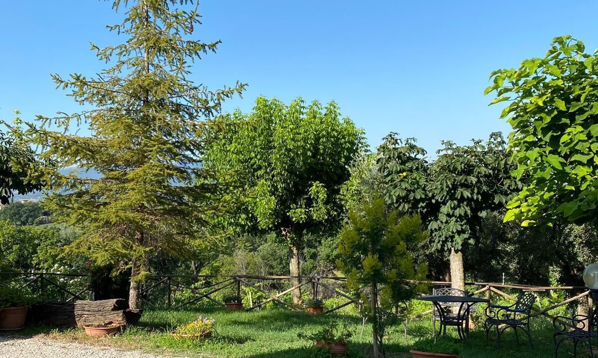 Photo of Outdoor in Montefalco