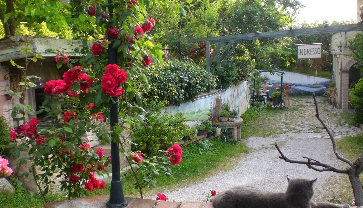Photo of Outdoor in Chieti