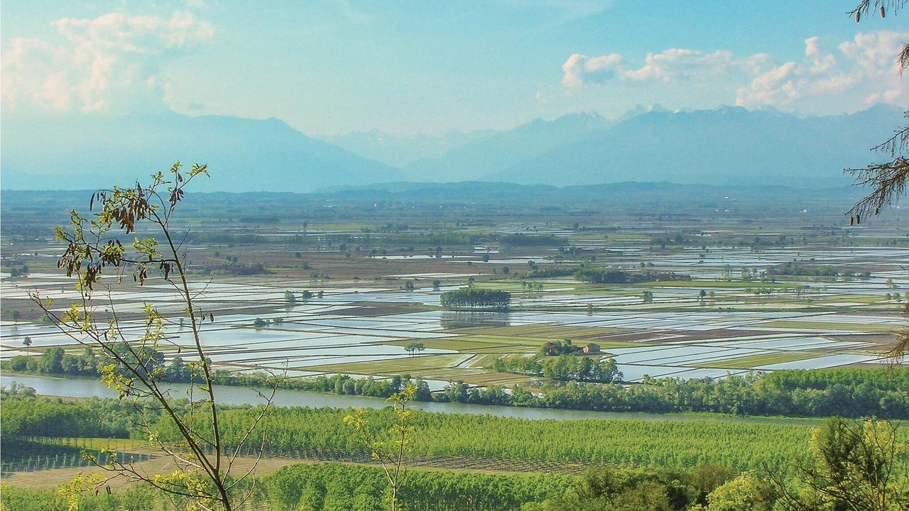 Photo of Outdoor in Gabiano