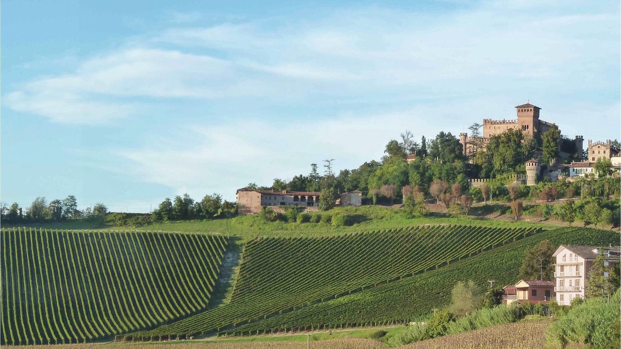 Photo of Outdoor in Gabiano