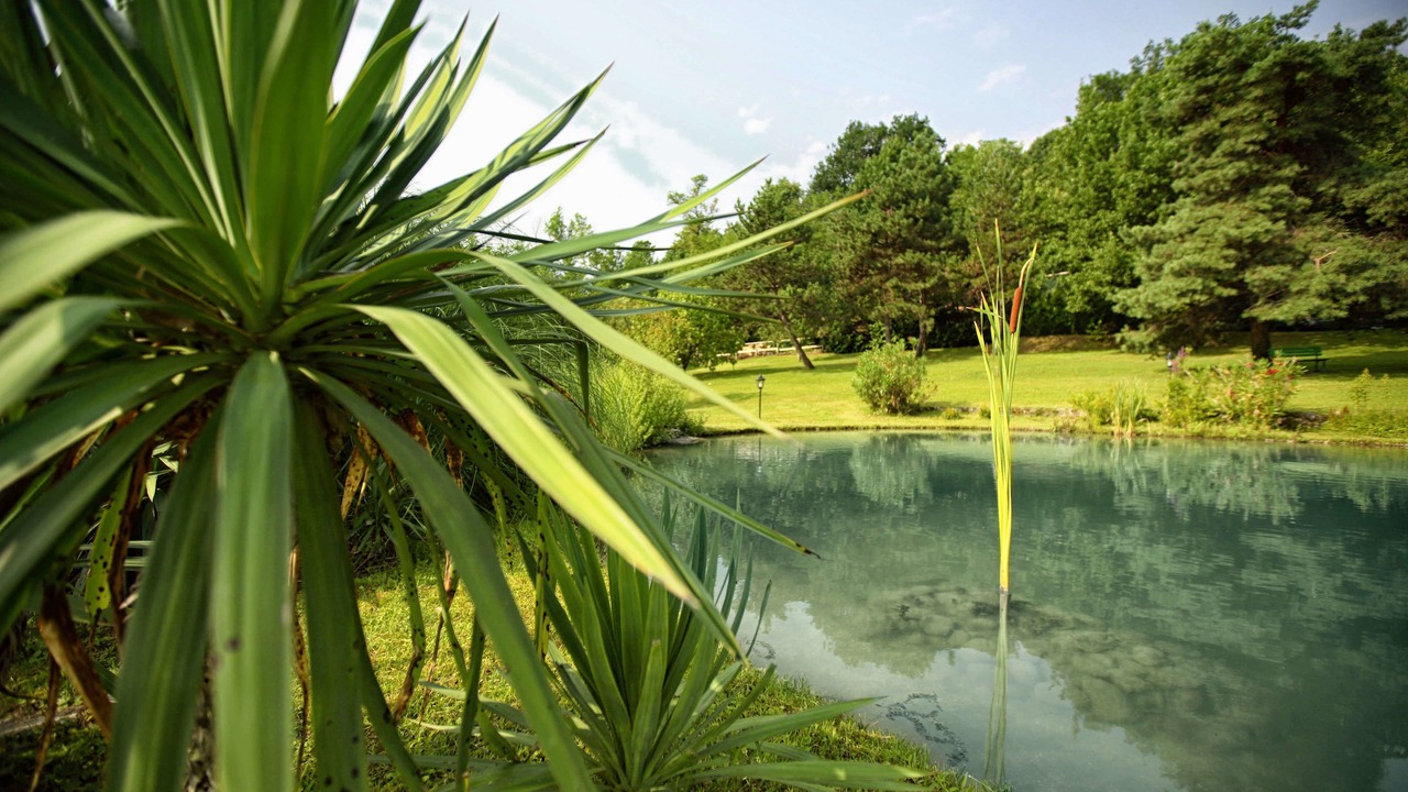 Photo of Outdoor in Asolo