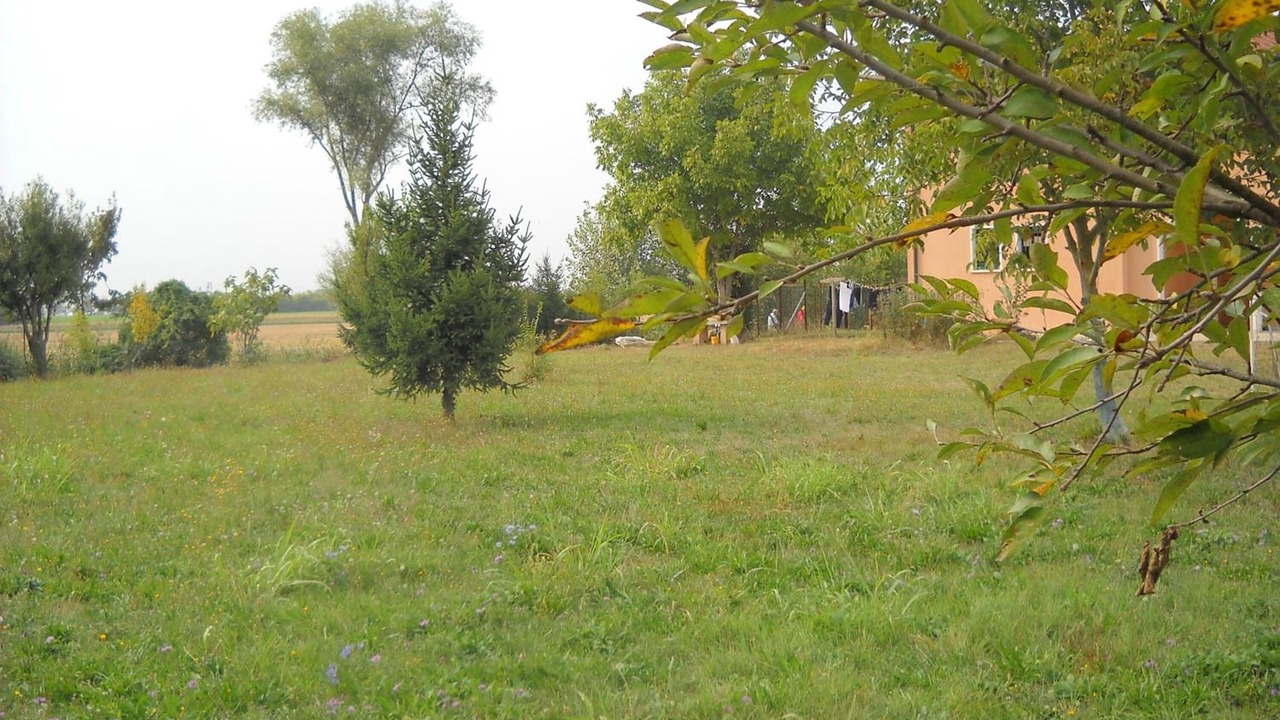Photo of Outdoor in Roncade