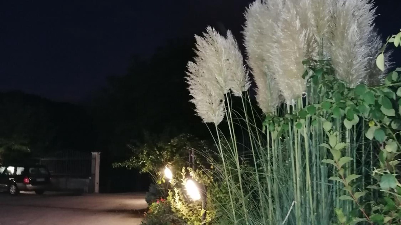 Photo of Outdoor in Cagnano Amiterno