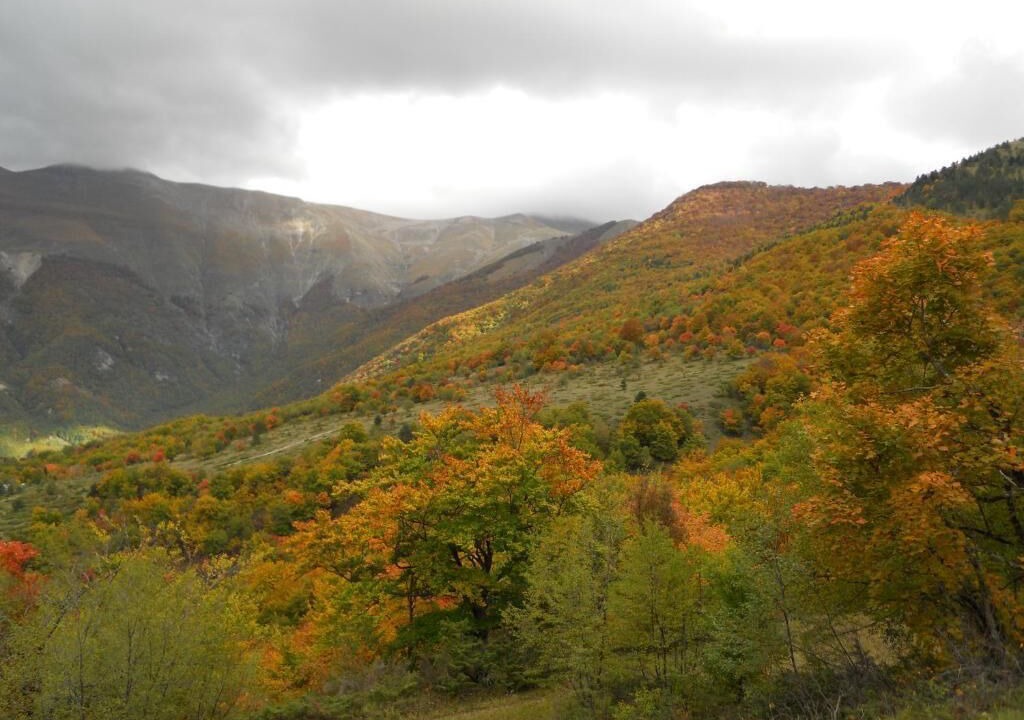Photo of Outdoor in Preci