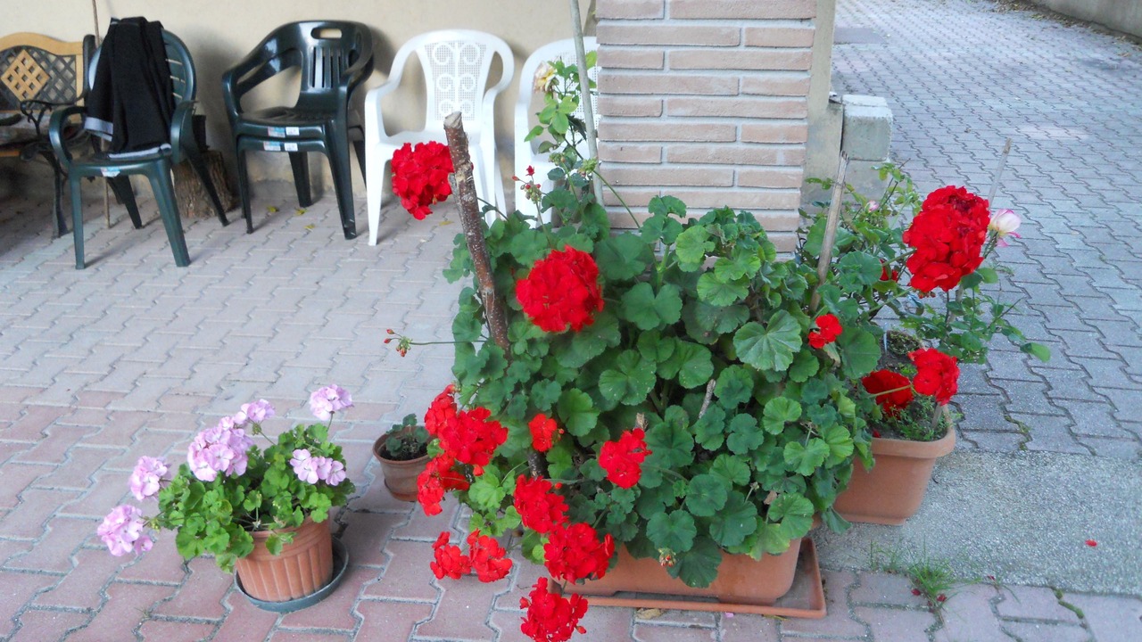 Photo of Outdoor in Preci