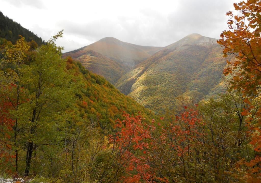 Photo of Outdoor in Preci