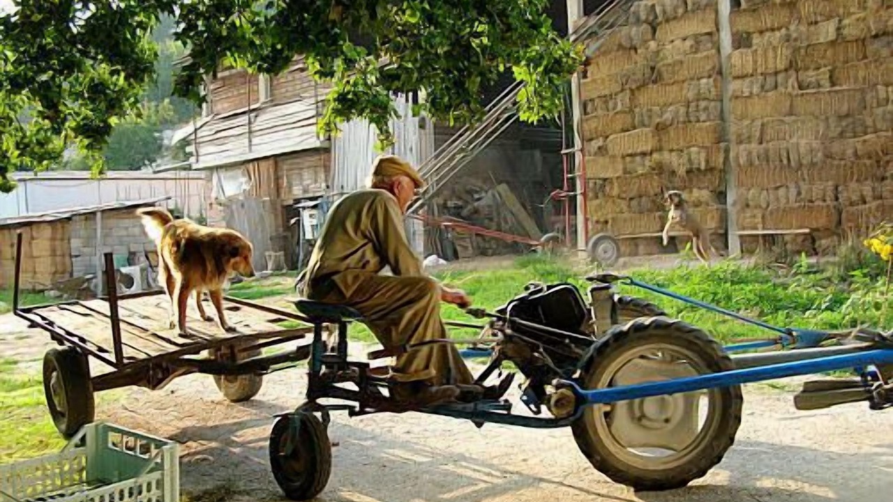 Photo of Outdoor in Preci