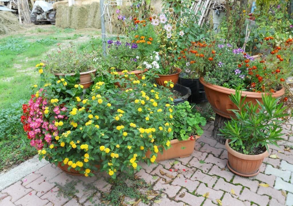 Photo of Outdoor in Preci