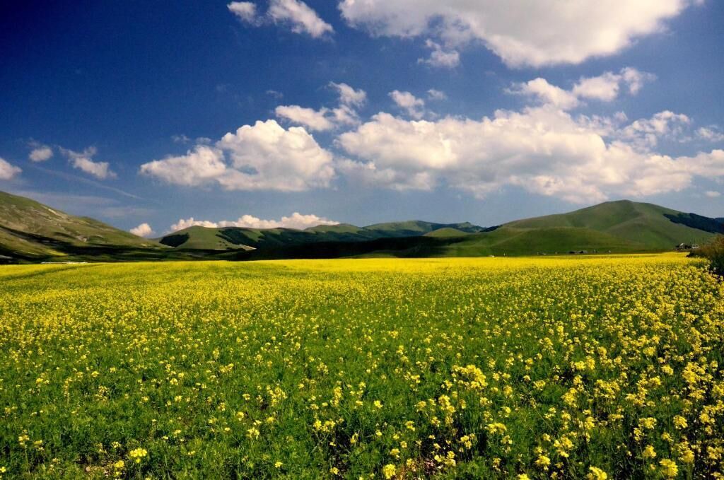 Photo of Outdoor in Preci