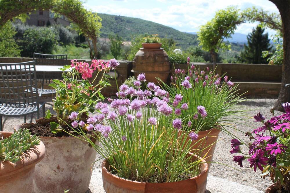 Photo of Outdoor in Paciano