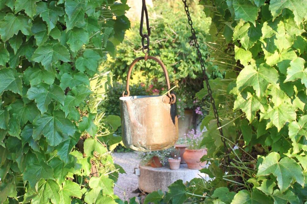 Photo of Outdoor in Paciano