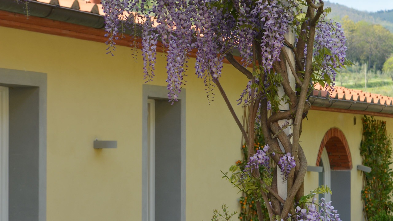 Photo of Outdoor in Capostrada