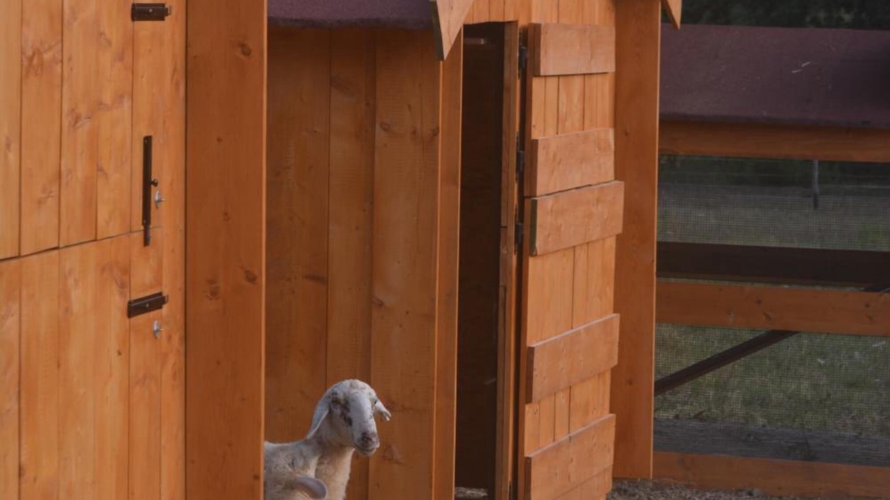 Photo of Outdoor in Capostrada