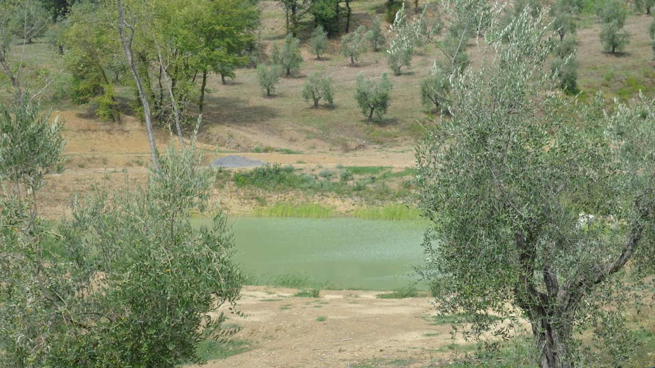 Photo of Outdoor in Capostrada