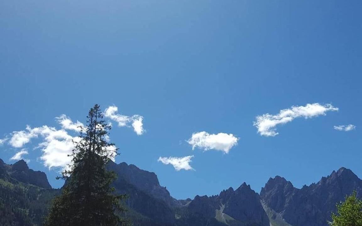 Photo of Others in Forni Avoltri