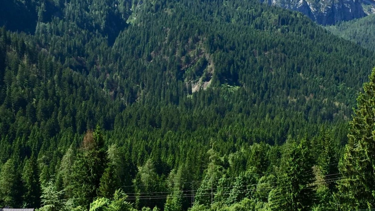 Photo of Others in Forni Avoltri