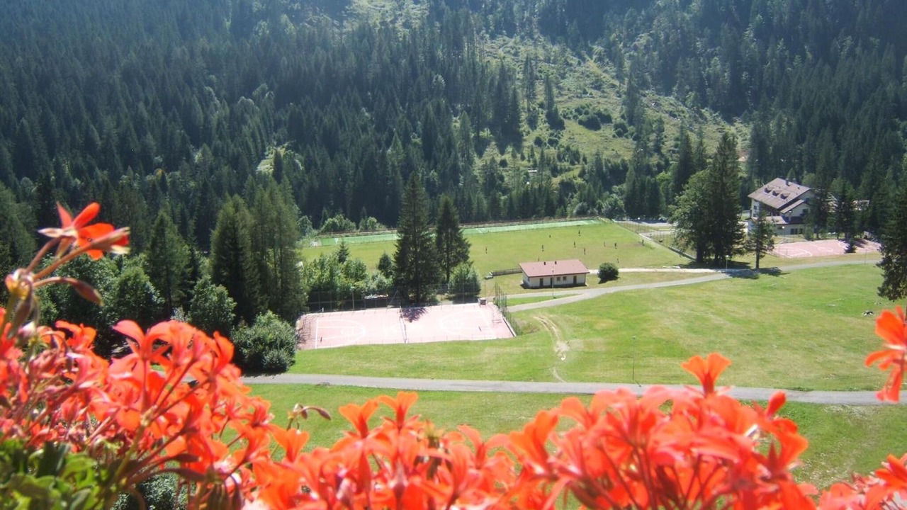 Photo of Outdoor in Forni Avoltri