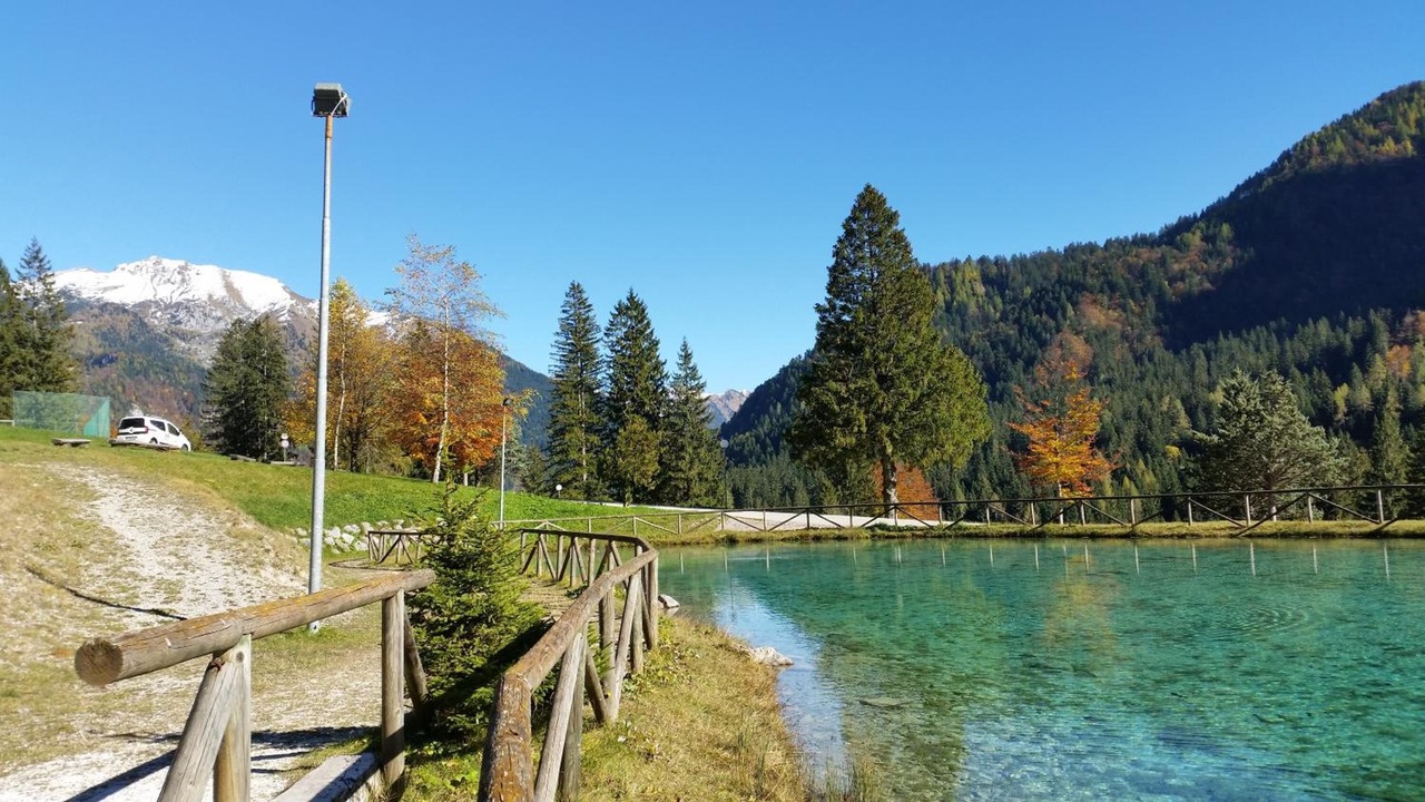 Photo of Others in Forni Avoltri