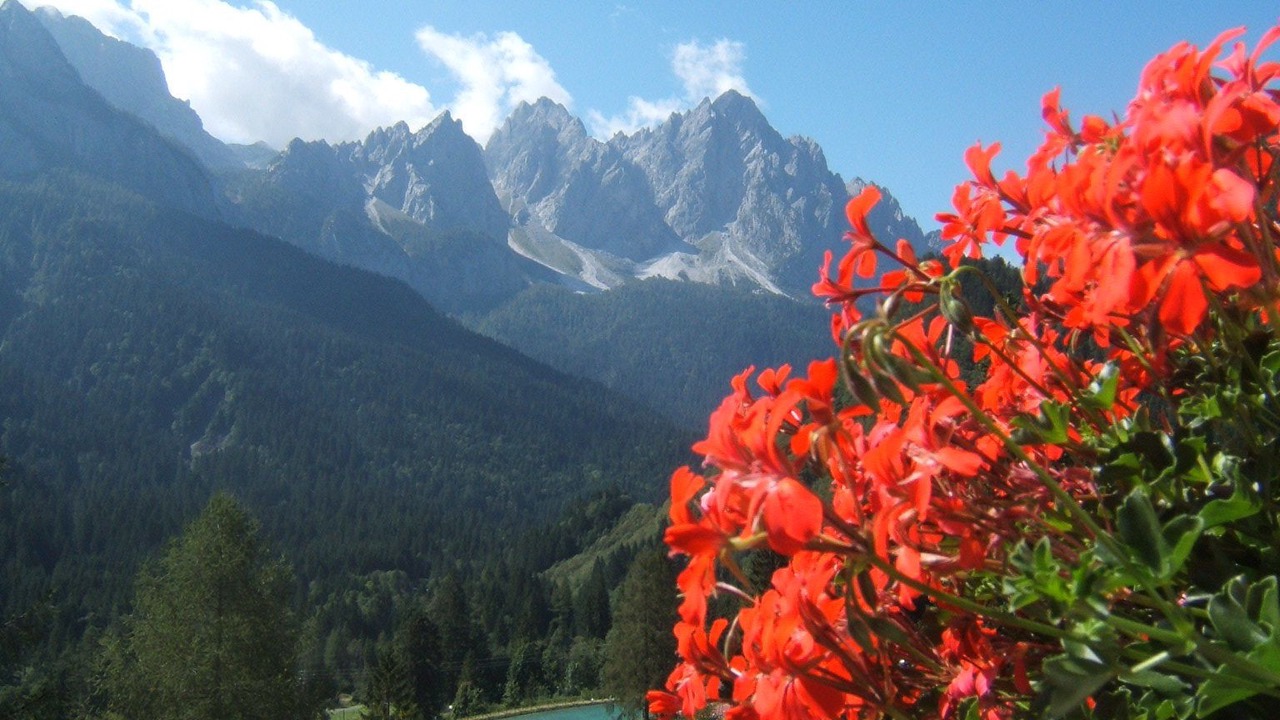 Photo of Outdoor in Forni Avoltri