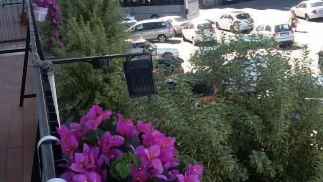 Photo of Patio Balcony in Mendicino