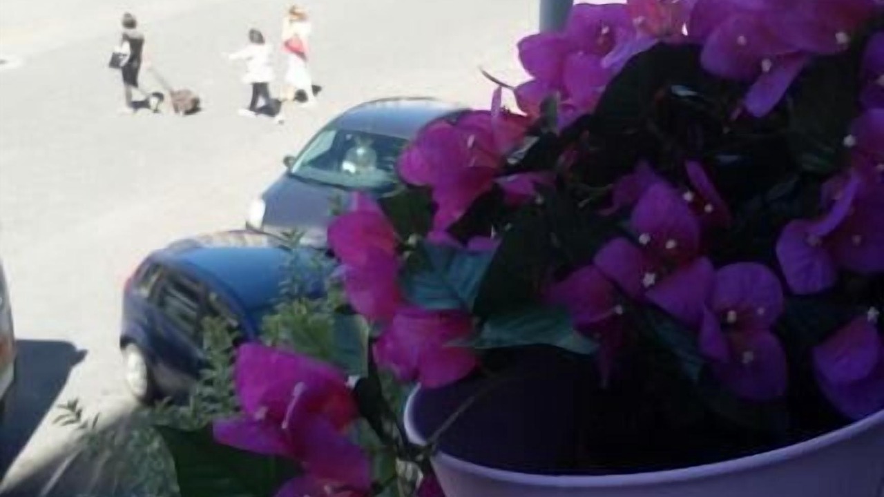 Photo of Outdoor in Mendicino