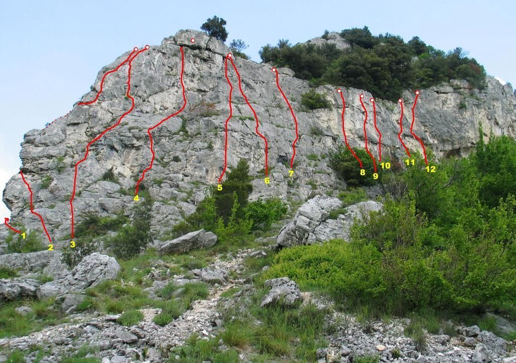 Photo of Others in Rosora