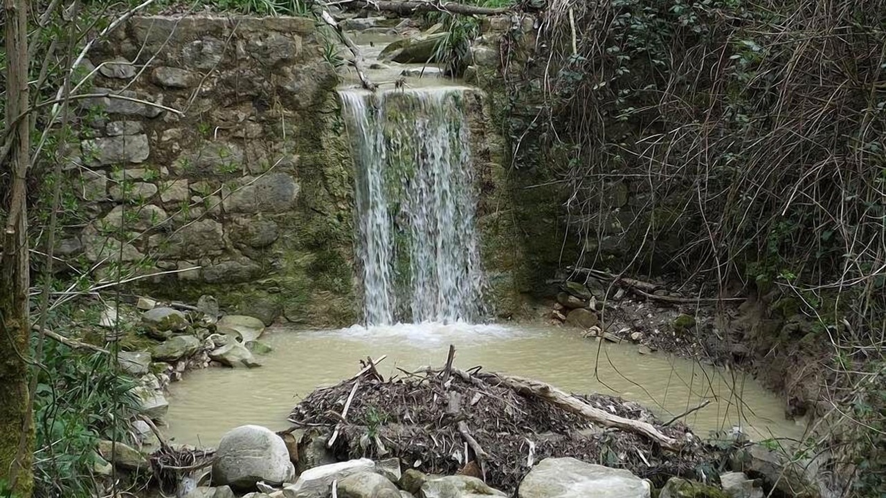 Photo of Others in Rosora