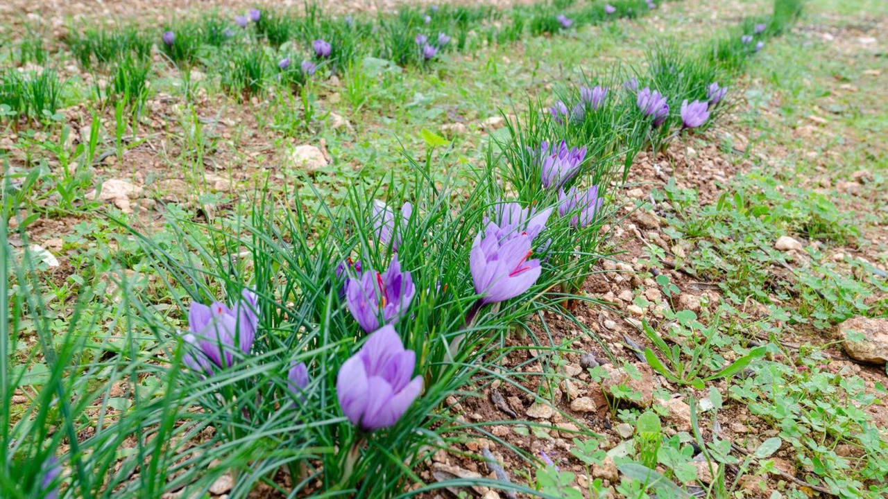 Photo of Outdoor in Cerfignano