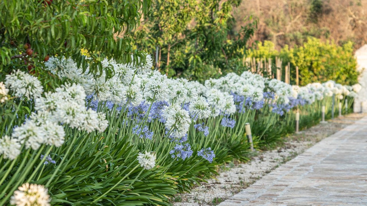 Photo of Outdoor in Cerfignano