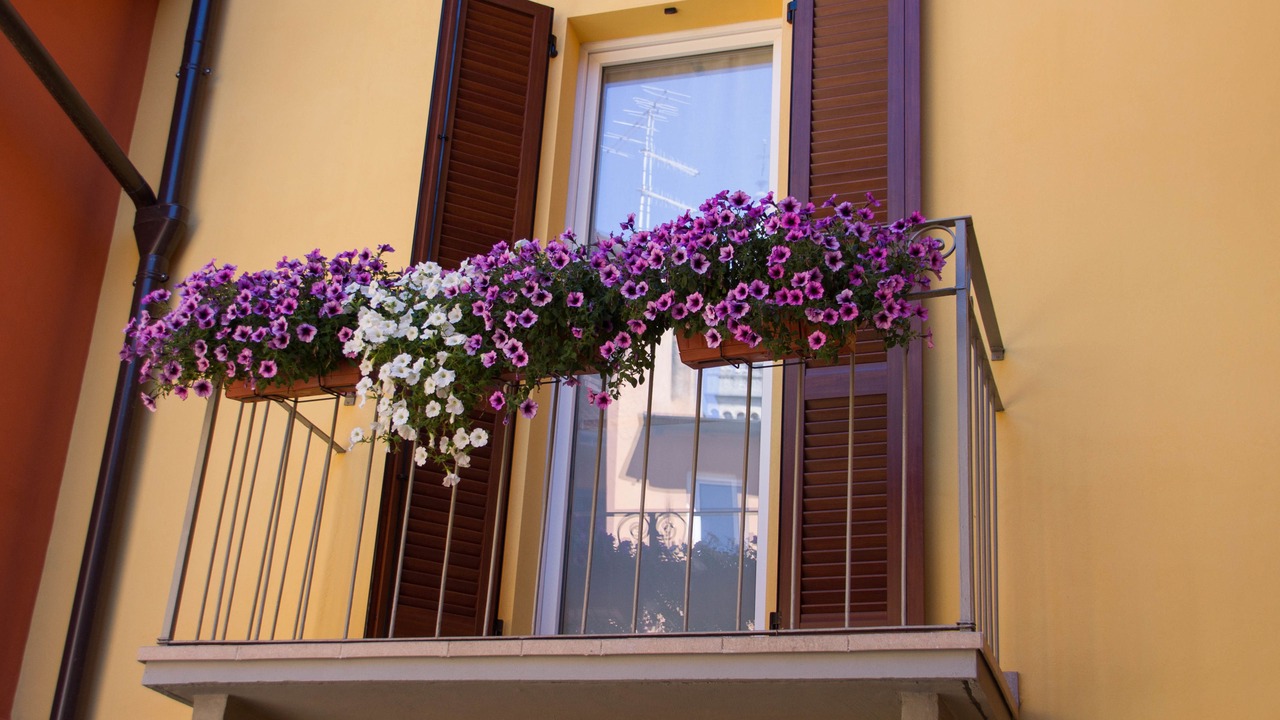 Photo of Outdoor in Aggregazione Rionale 9