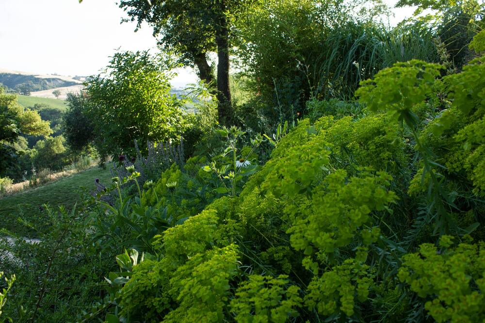 Photo of Outdoor in SantʼIppolito