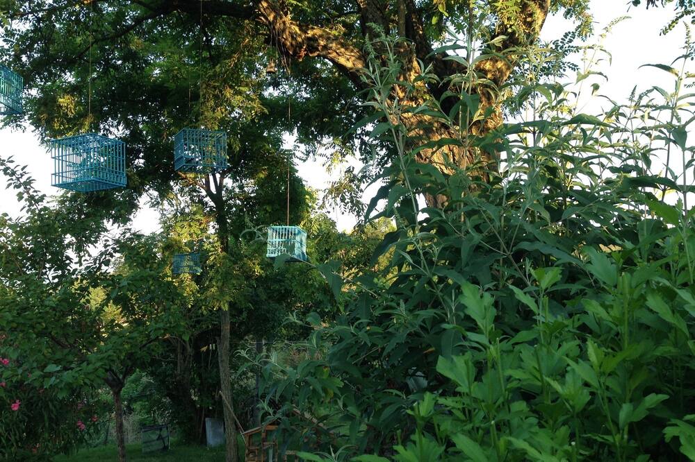 Photo of Outdoor in SantʼIppolito