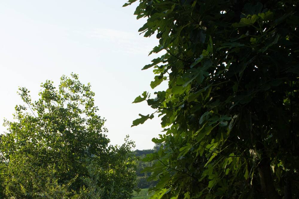 Photo of Outdoor in SantʼIppolito