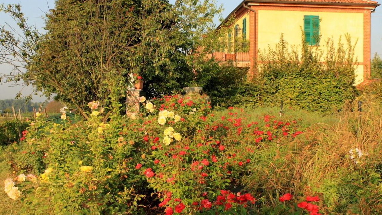 Photo of Others in Asti