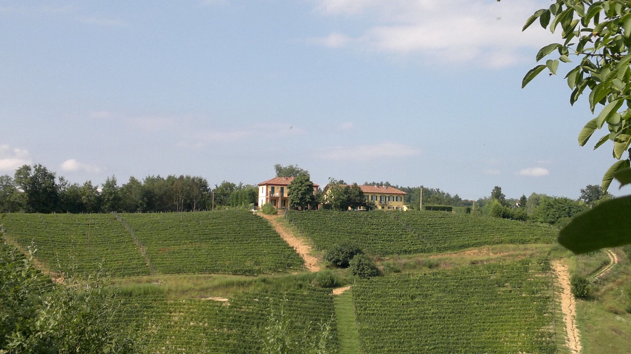 Photo of Outdoor in Asti