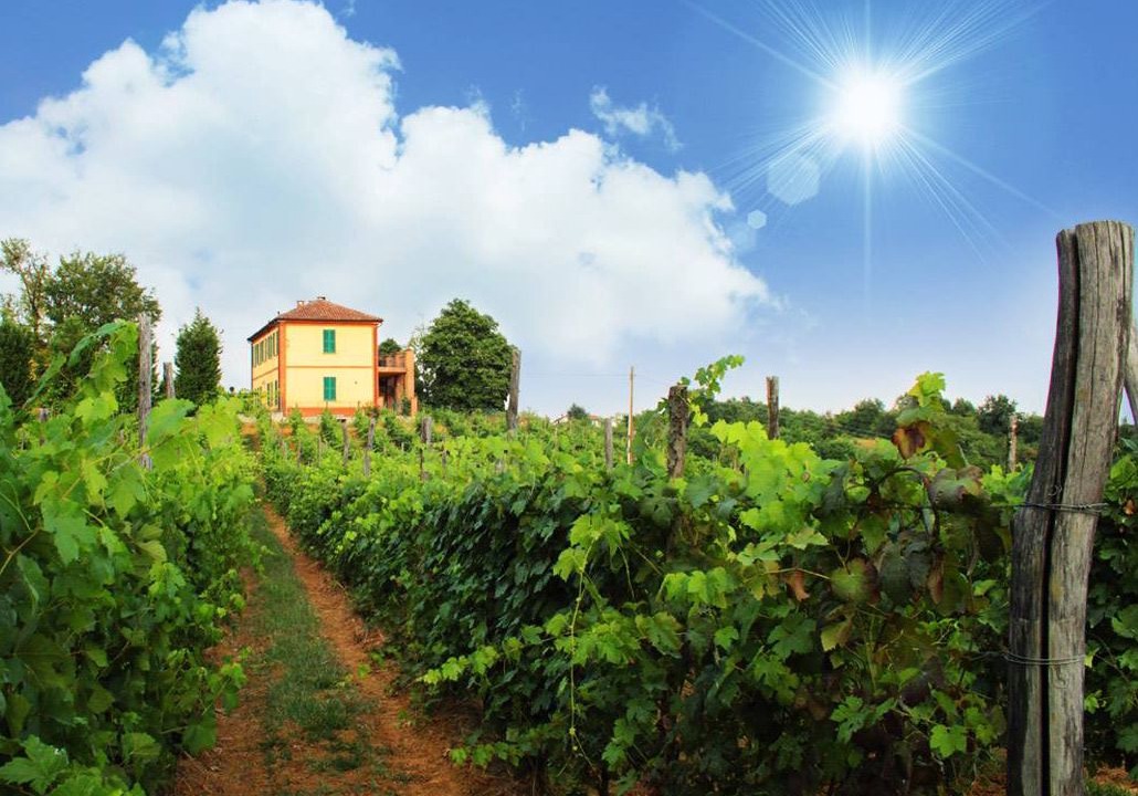 Photo of Outdoor in Asti