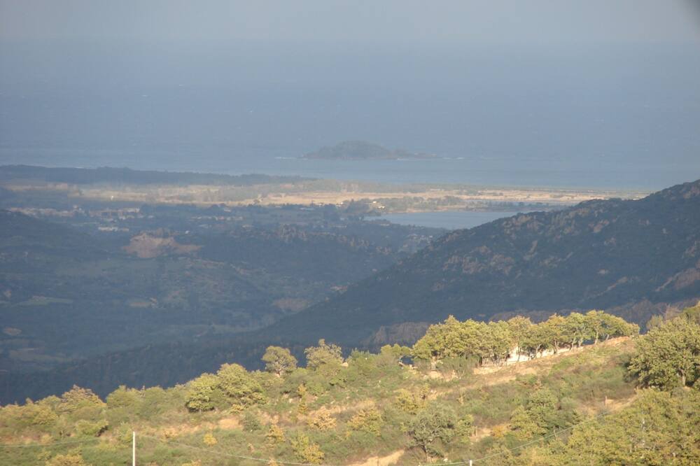 Photo of Others in Lanusei