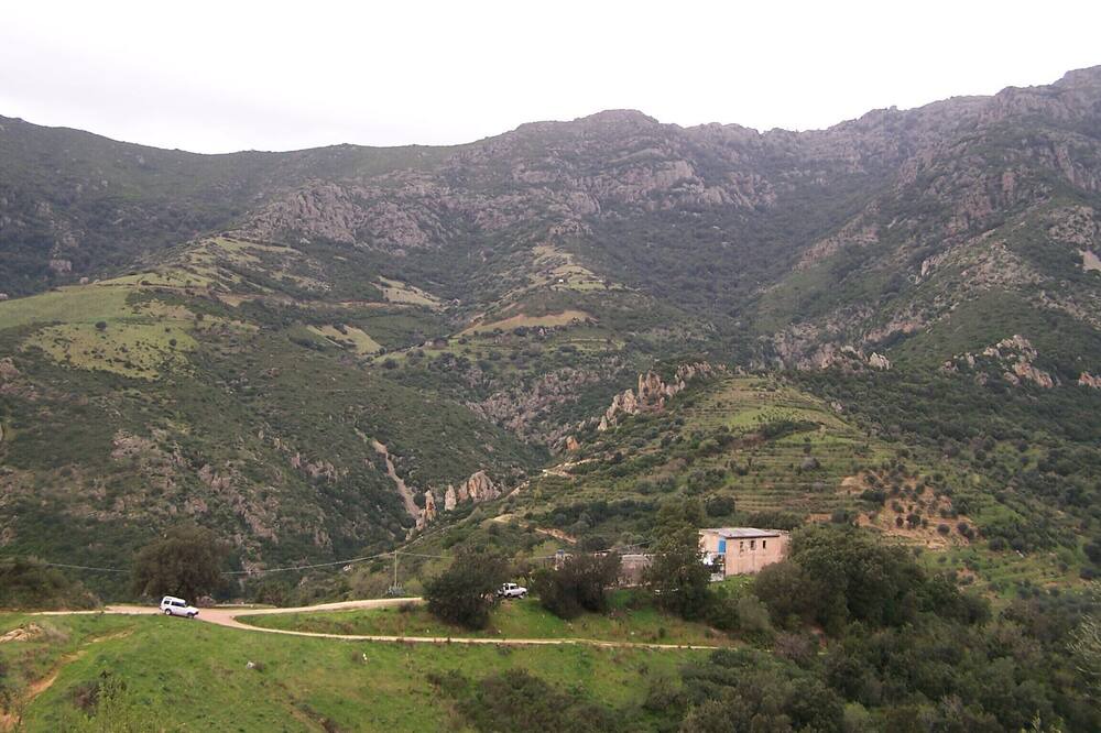 Photo of Others in Lanusei