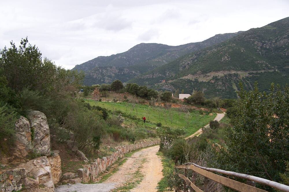 Photo of Others in Lanusei