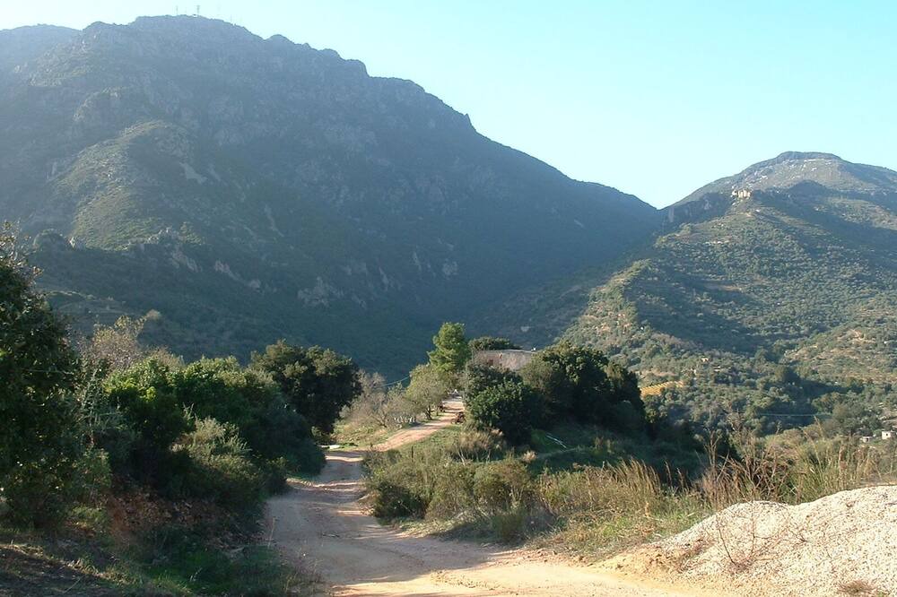 Photo of Others in Lanusei