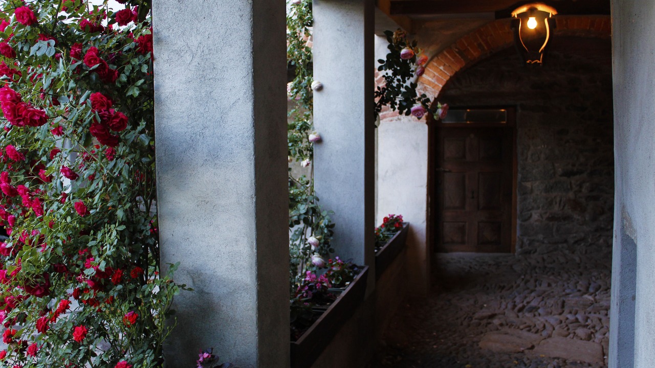 Photo of Outdoor in Settimo Vittone