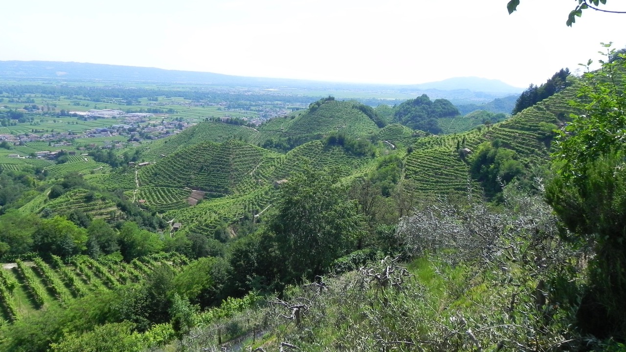 Photo of Outdoor in Col San Martino