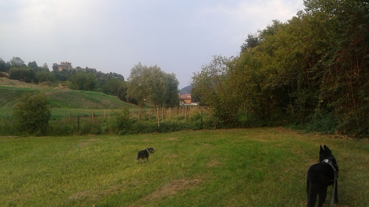 Photo of Outdoor in Paratico