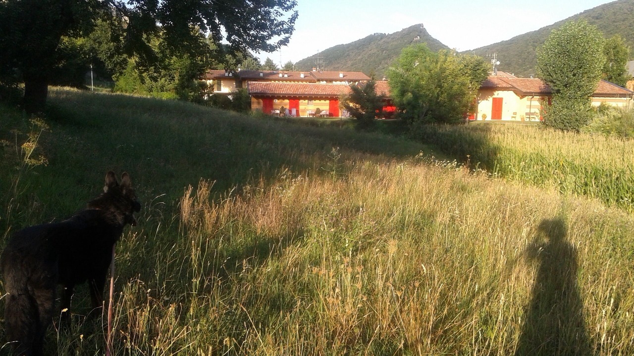 Photo of Outdoor in Paratico