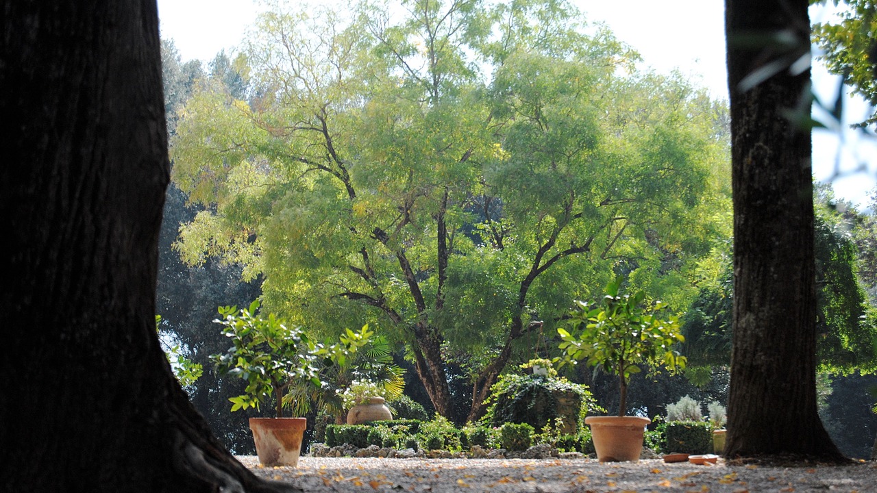 Photo of Patio Balcony in Bagnaia
