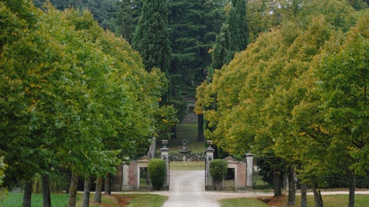 Photo of Outdoor in Bagnaia